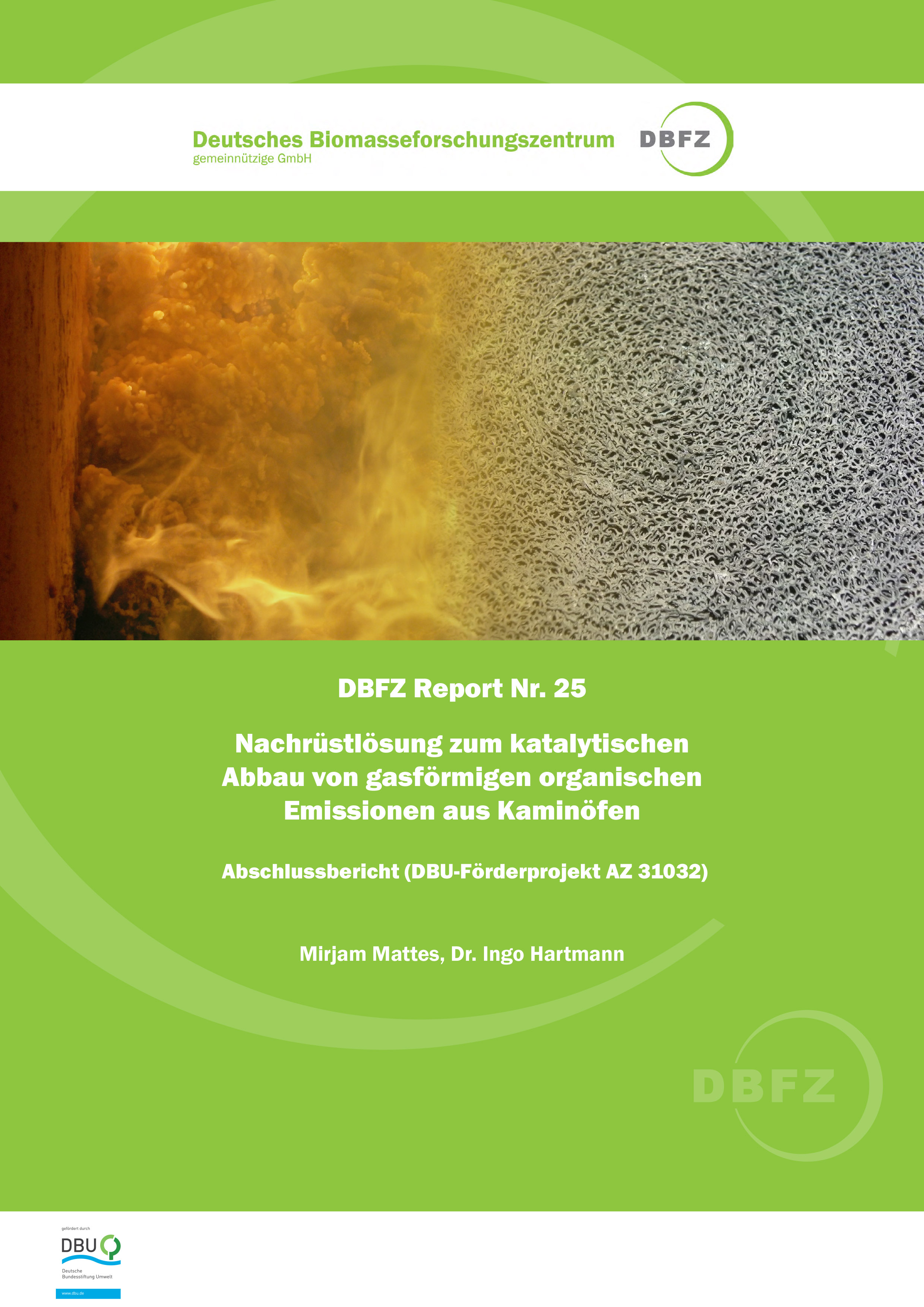 DBFZ Report No. 25