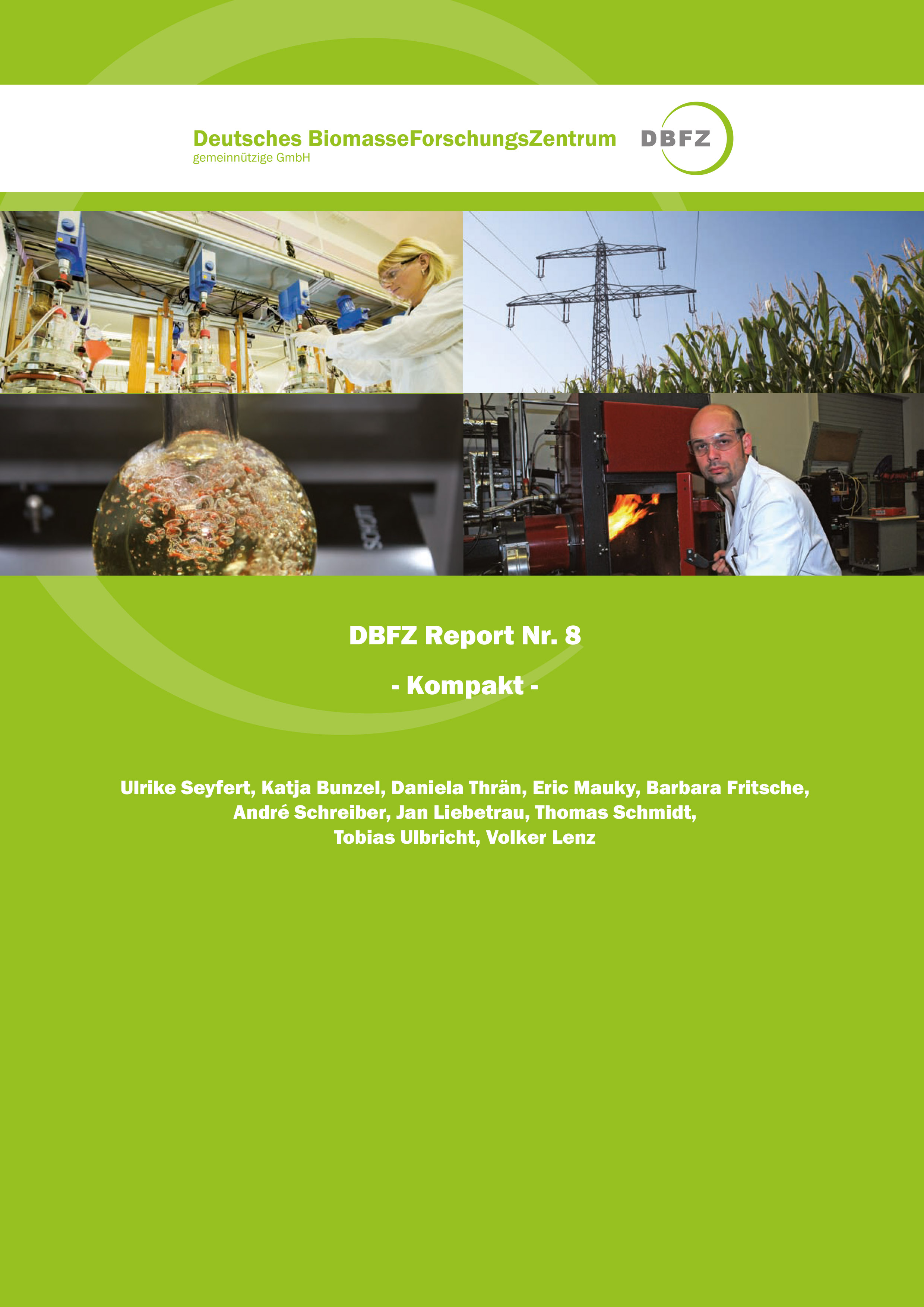 DBFZ Report No. 8 - Kompakt -