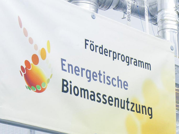 Funding programm "Biomass Energy Use"