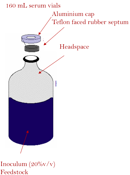 Experimental set-up of BMP assay (Uni Patras) Experimental set-up of BMP assay (Uni Patras)
