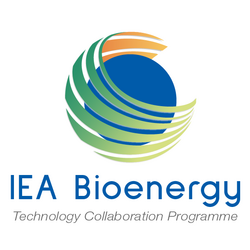 [Translate to Englisch:] IEA Bioenergy