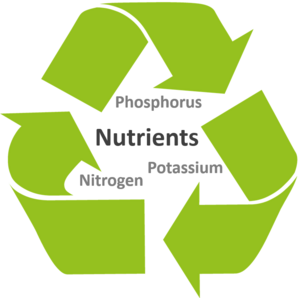 Exemplary nutrients for recycling