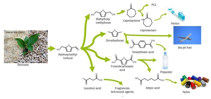 Platform chemicals and subsequent products that can be obtained from biomass