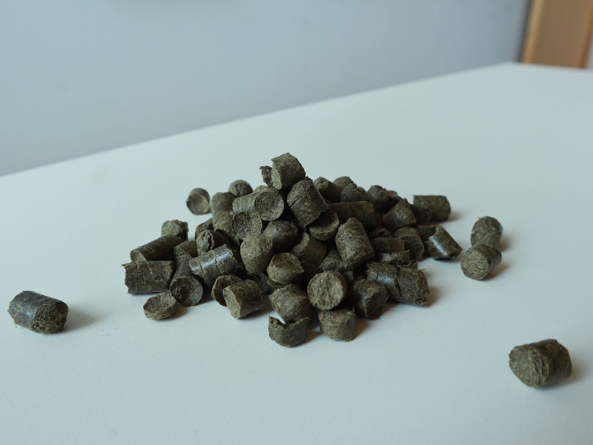 MoorFaser Pellets Pellets aus MoorFaser