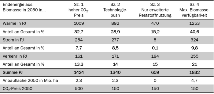 Modelloptimierte Allokation der Biomasse im Energiesystem 2050