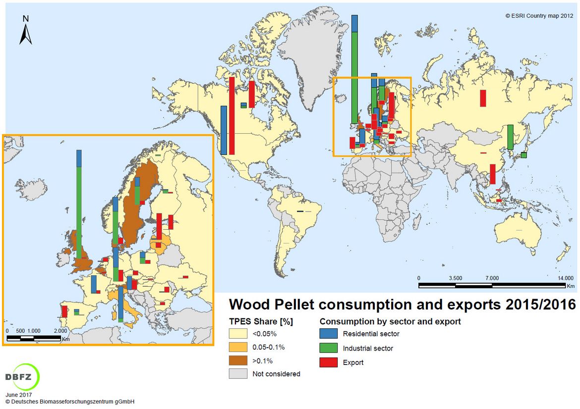 Figure 1: Countries with relevant wood pellet consumption and/or export in 2015/2016 © DBFZ, 2017