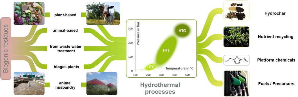 Feedstocks and products of hydrothermal processes
