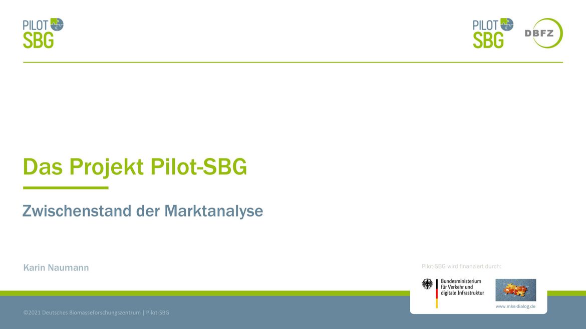 Workshop Projekt Pilot-SBG Zwischenstand der Marktanalyse Karin Naumann DBFZ