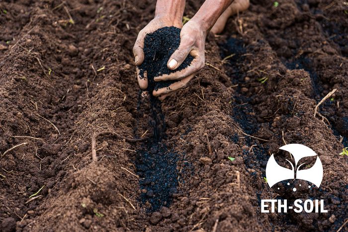 Biochar for soil improvement in Ethiopia / Picture: @ DBFZ
