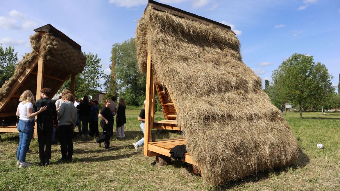 Reetdach Sommerschool in Malchin beim WWdZ