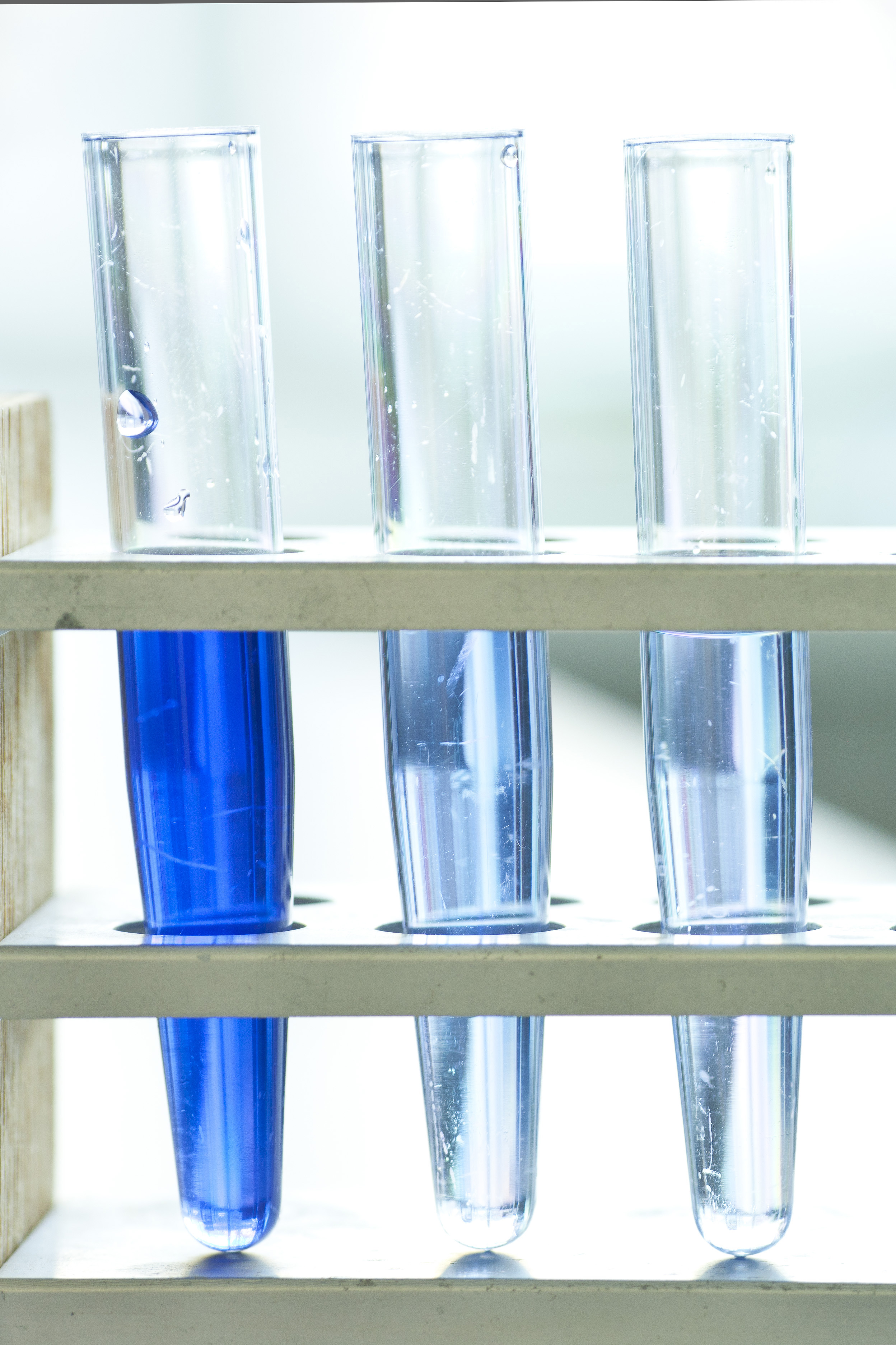 Protein determination (Lowry), dilution series, calibration