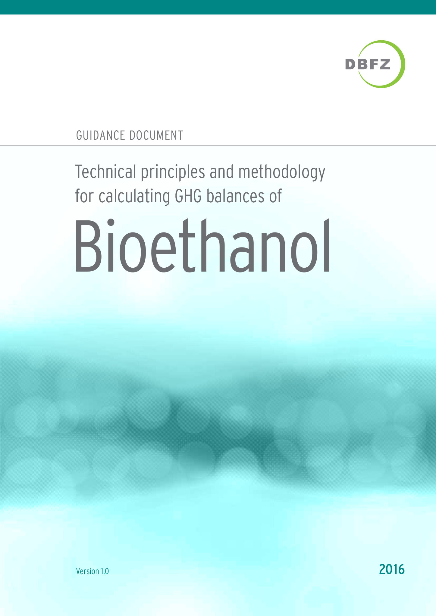 Guidance document Bioethanol