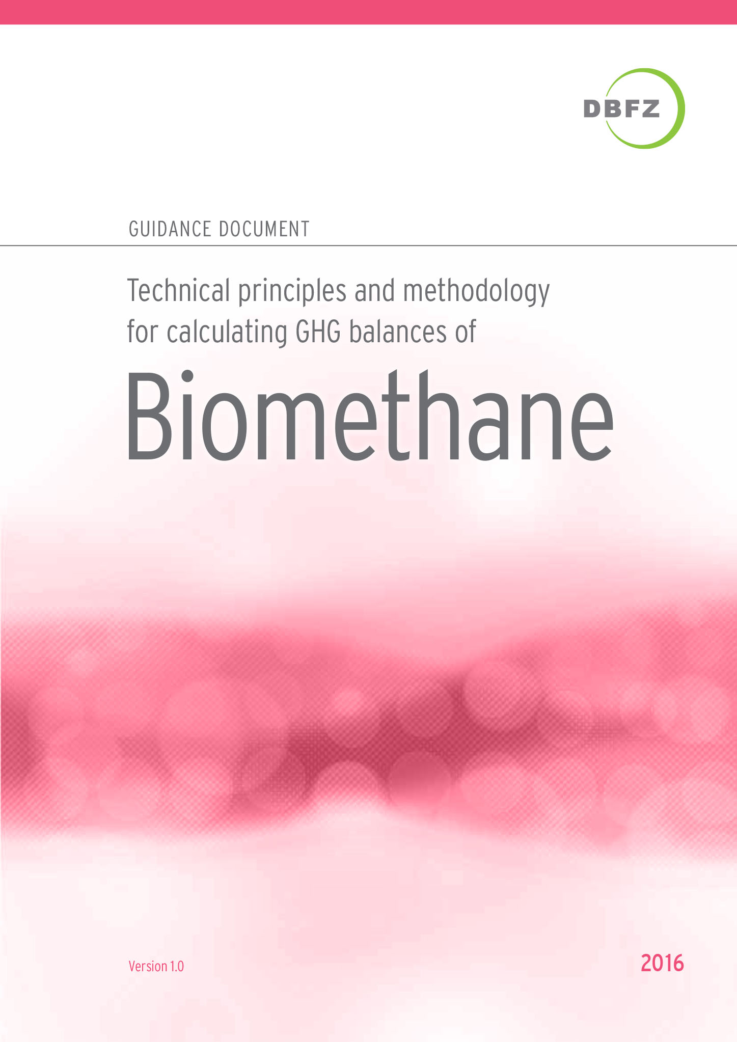 Guidance document Biomethane