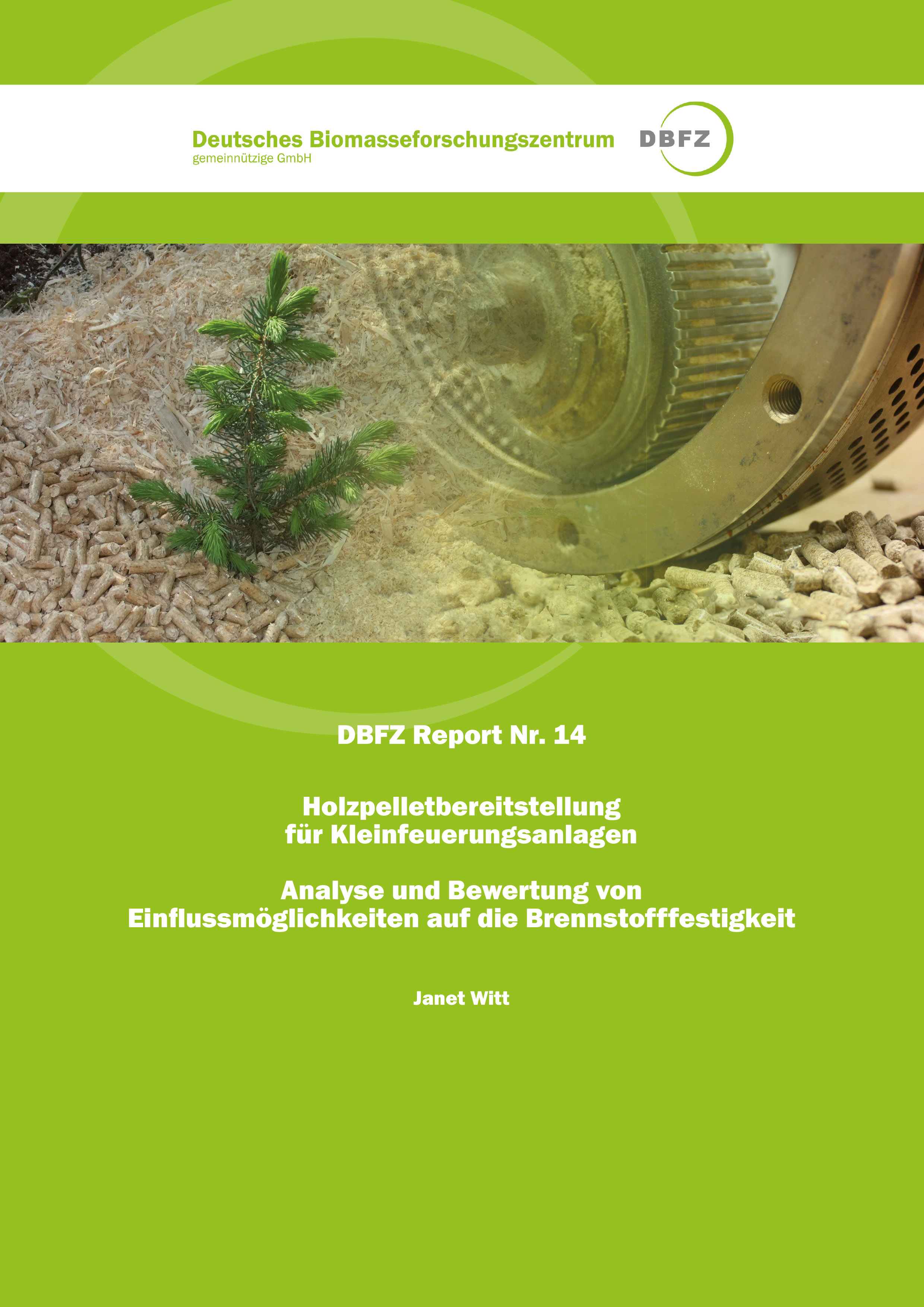 DBFZ Report Nr. 14