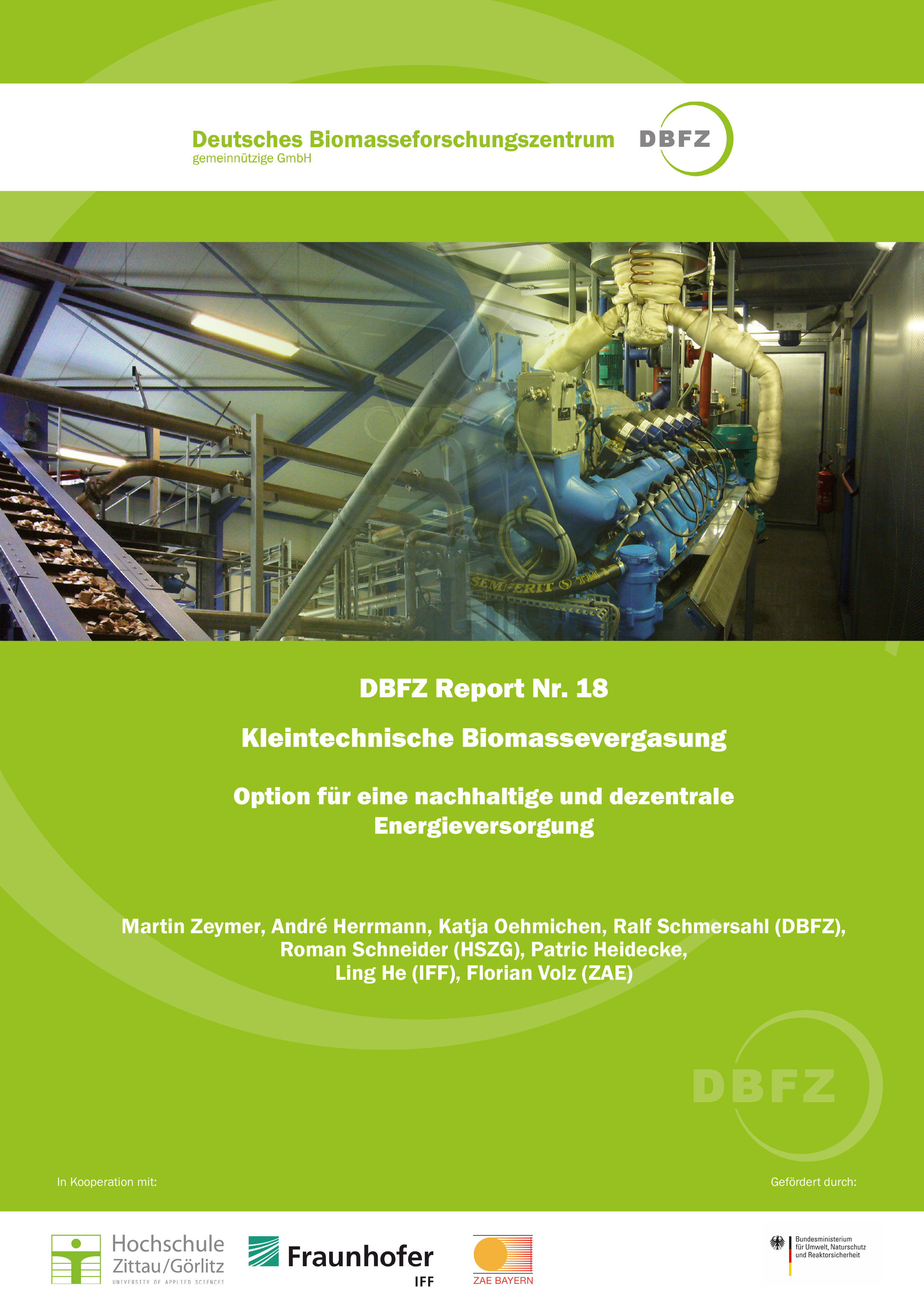 DBFZ Report No. 18