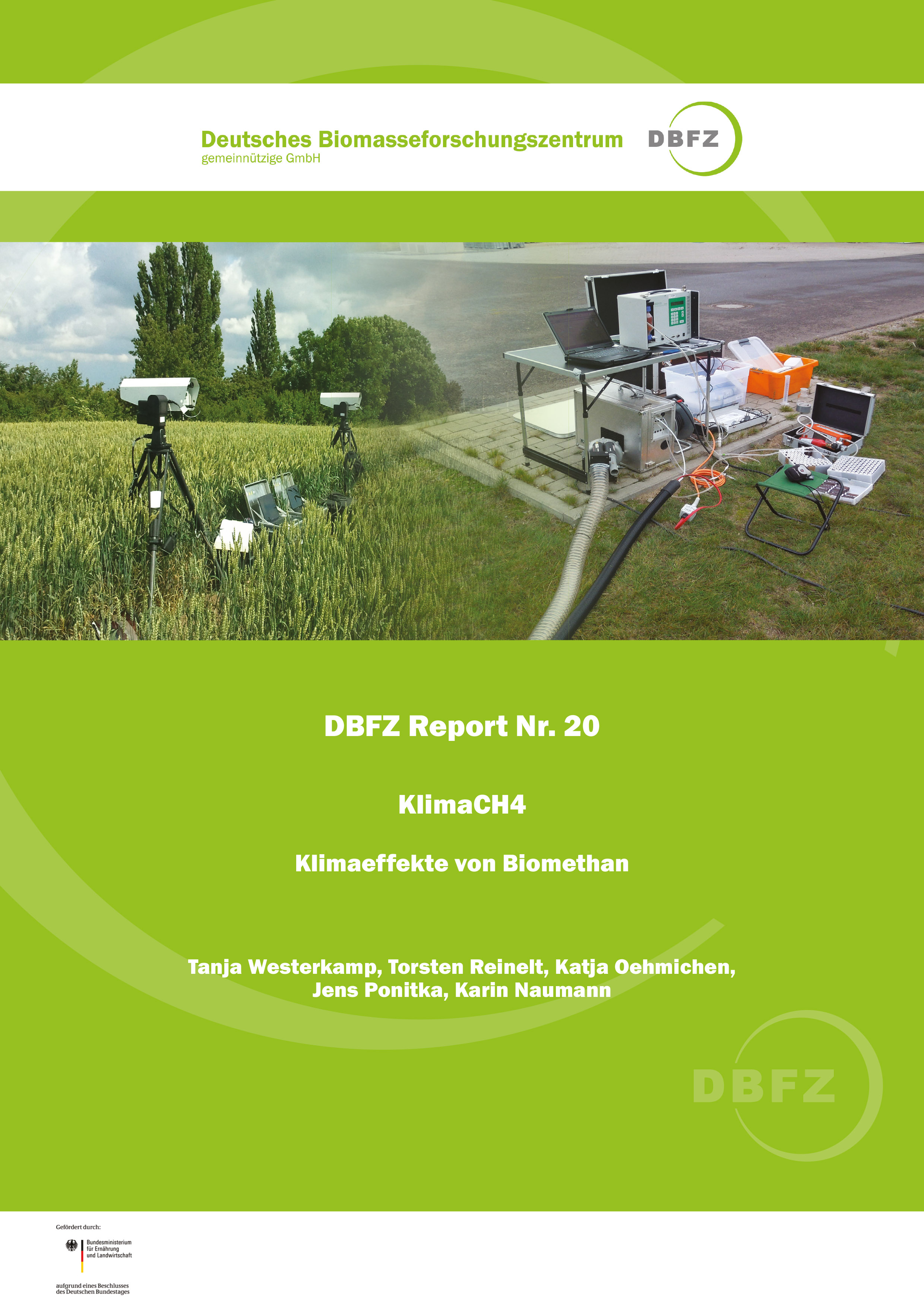 DBFZ Report No. 20