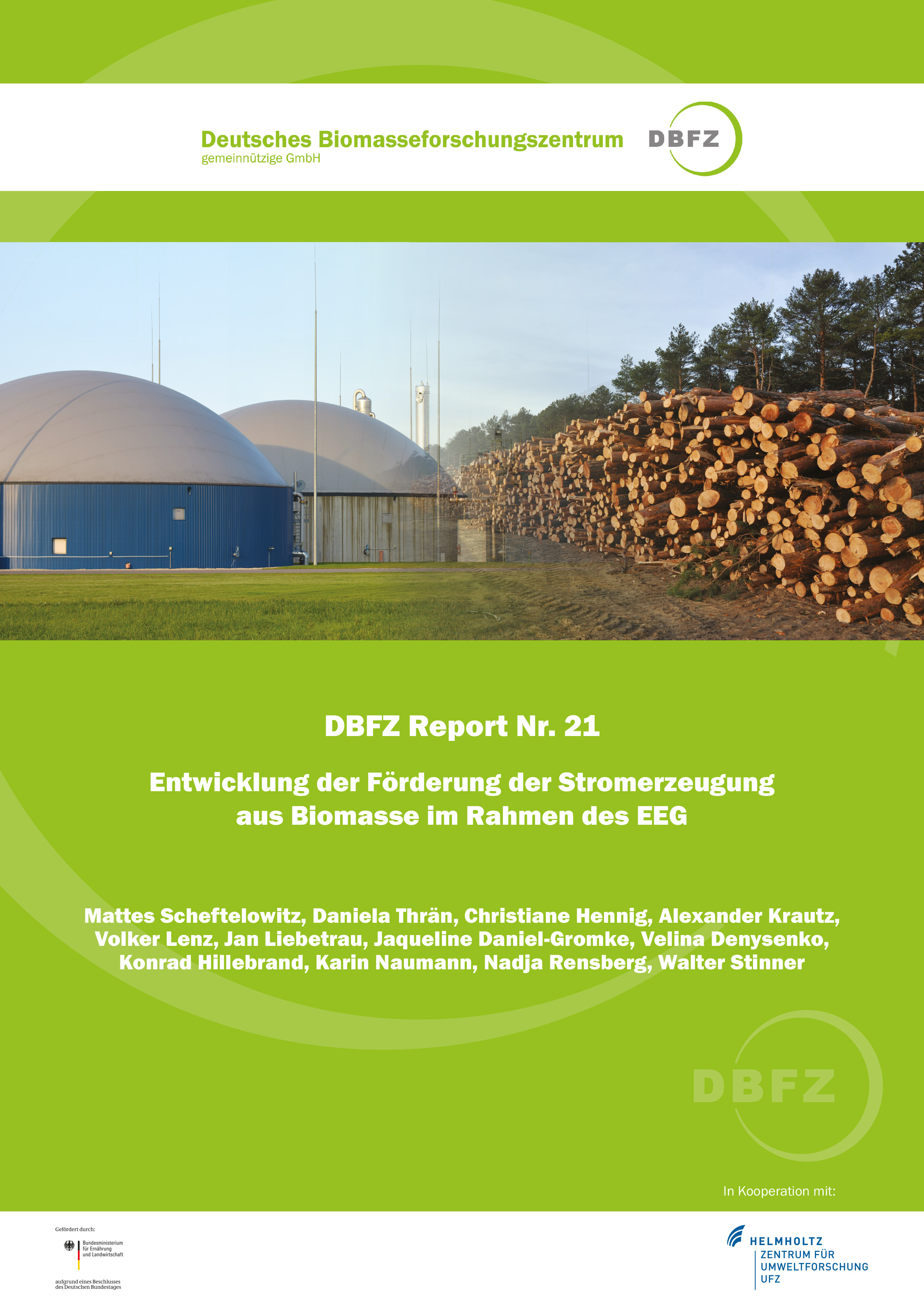 DBFZ Report No. 21