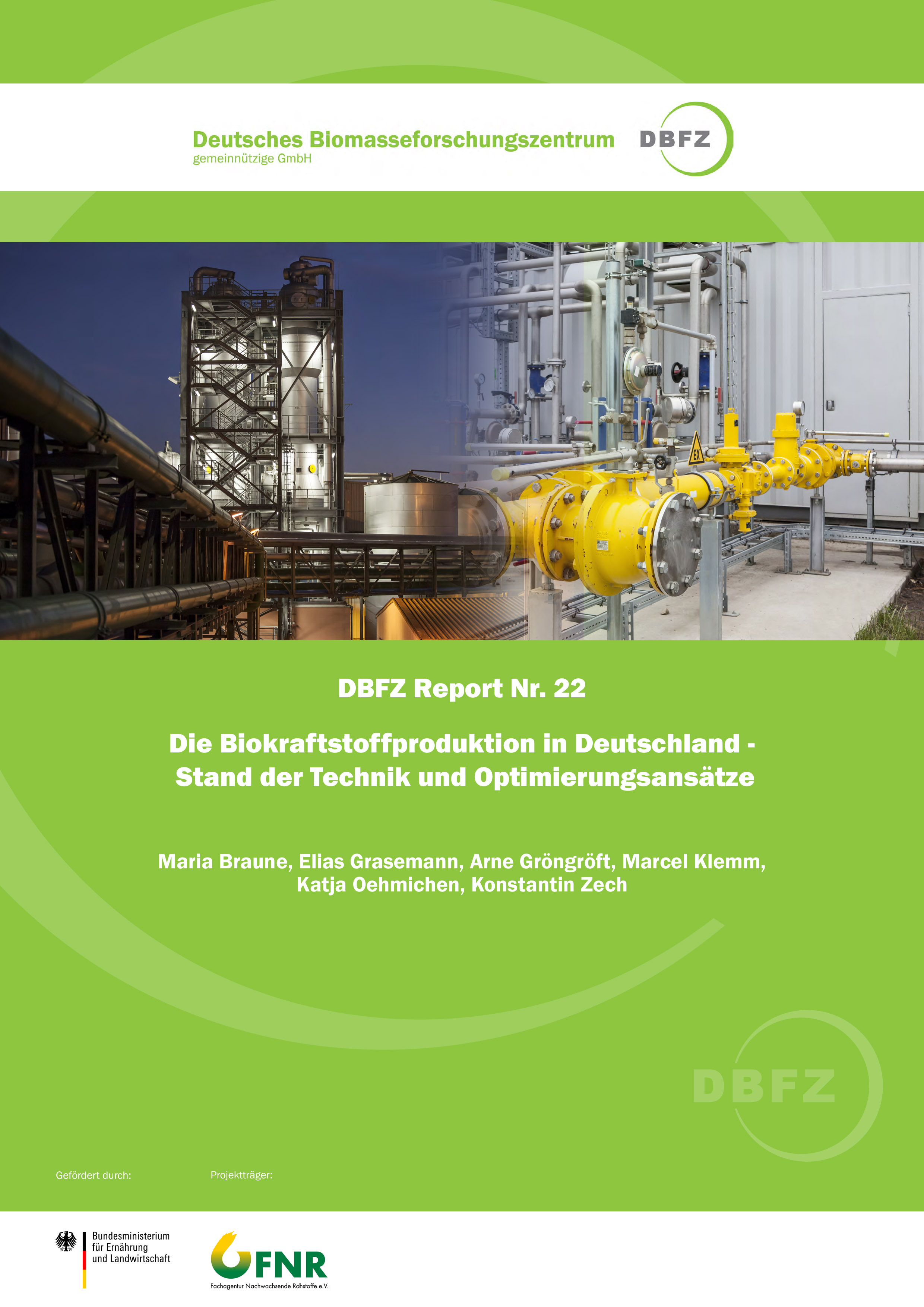 DBFZ Report No. 22