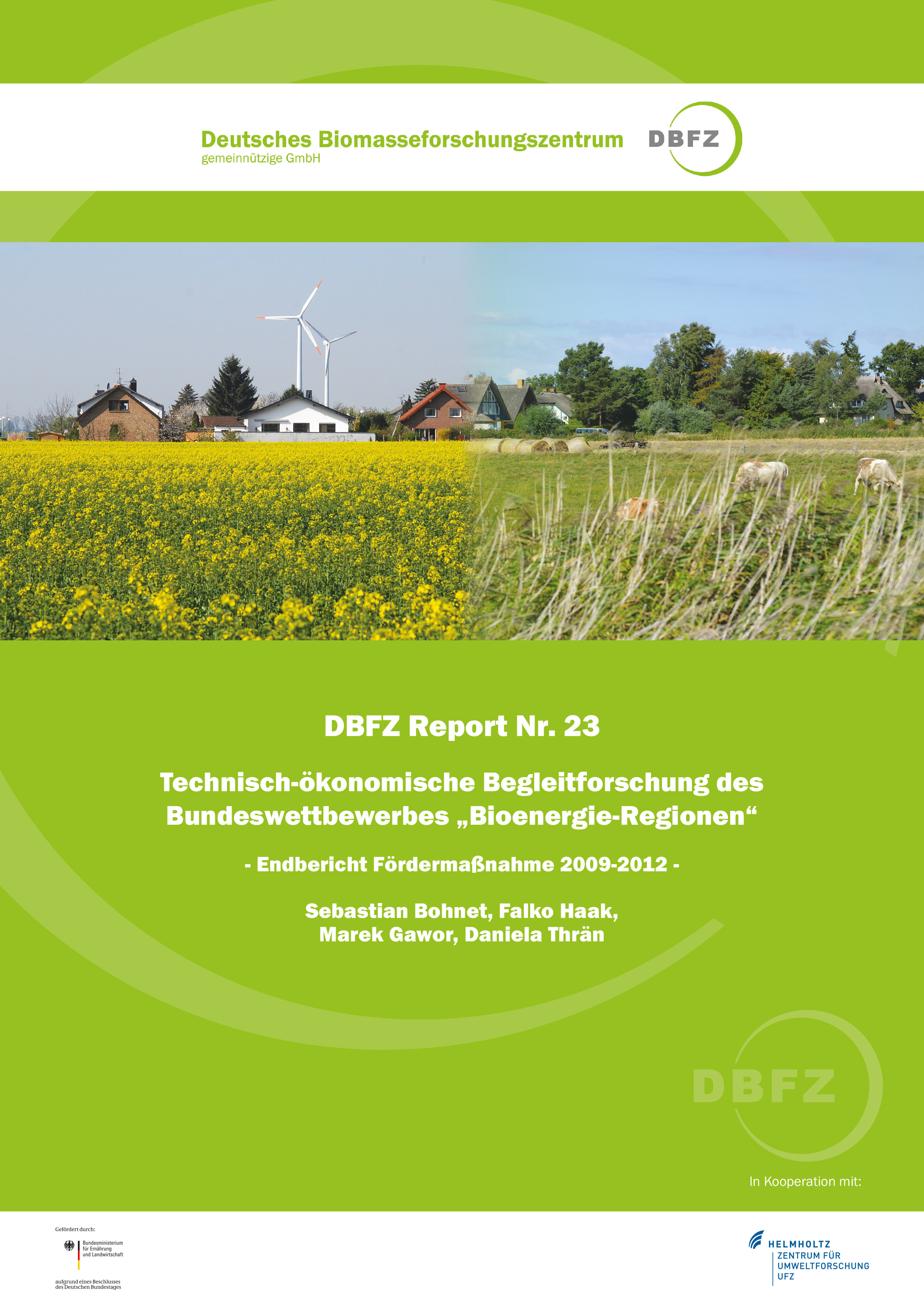 DBFZ Report No. 23