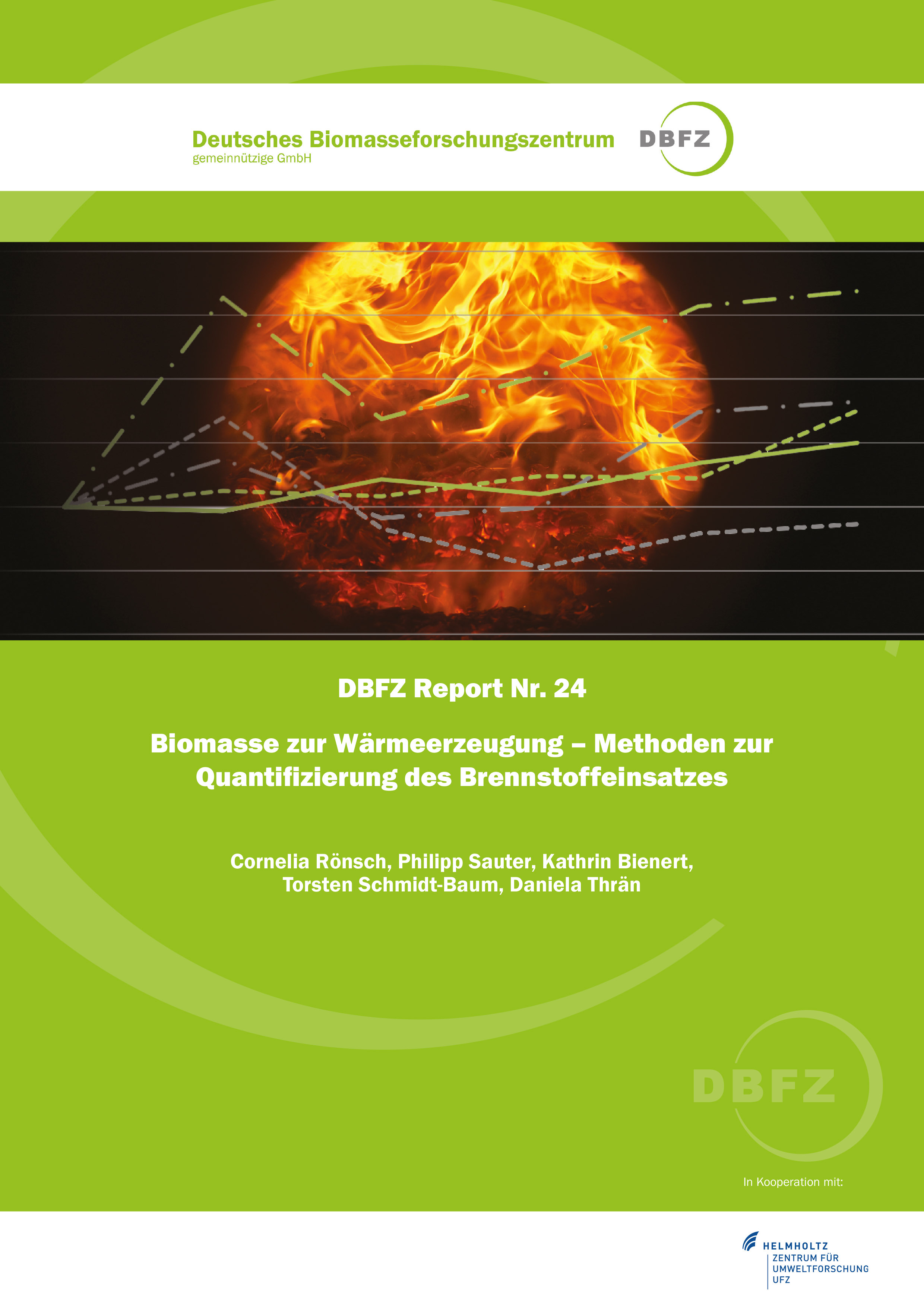 DBFZ Report No. 24