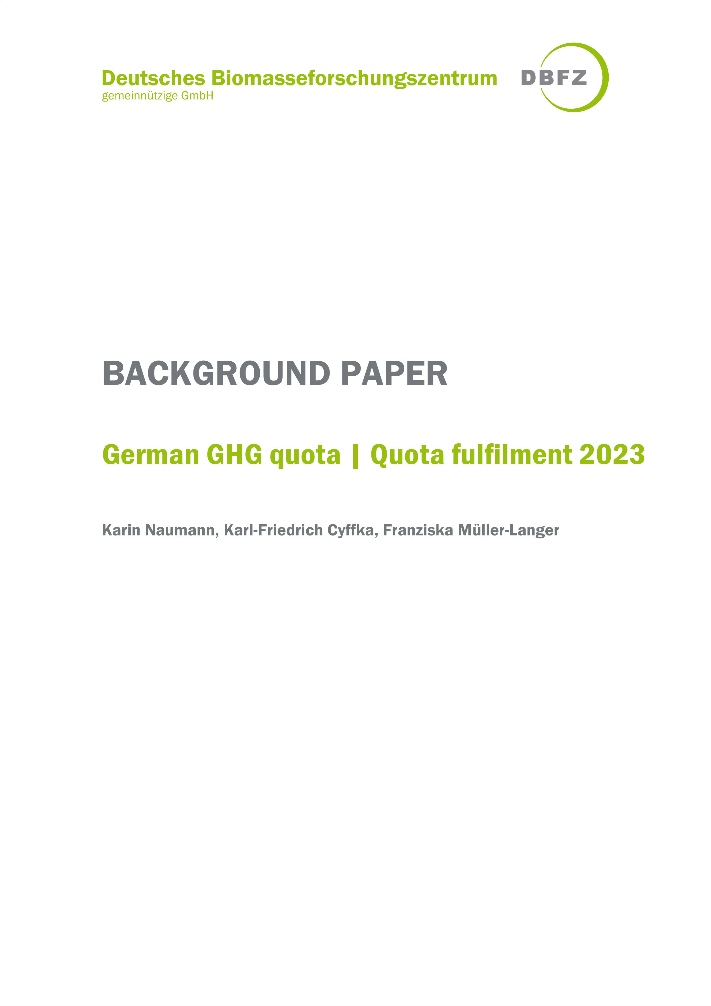 DBFZ Background paper (December 2024)