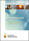 Meilensteine 2030 - Elemente und Meilensteine für die Entwicklung einer tragfähigen und nachhaltigen Bioenergiestrategie