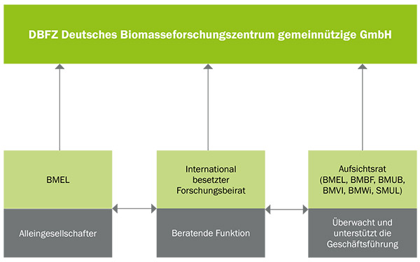 Organe der Gesellschaft Organe der Gesellschaft