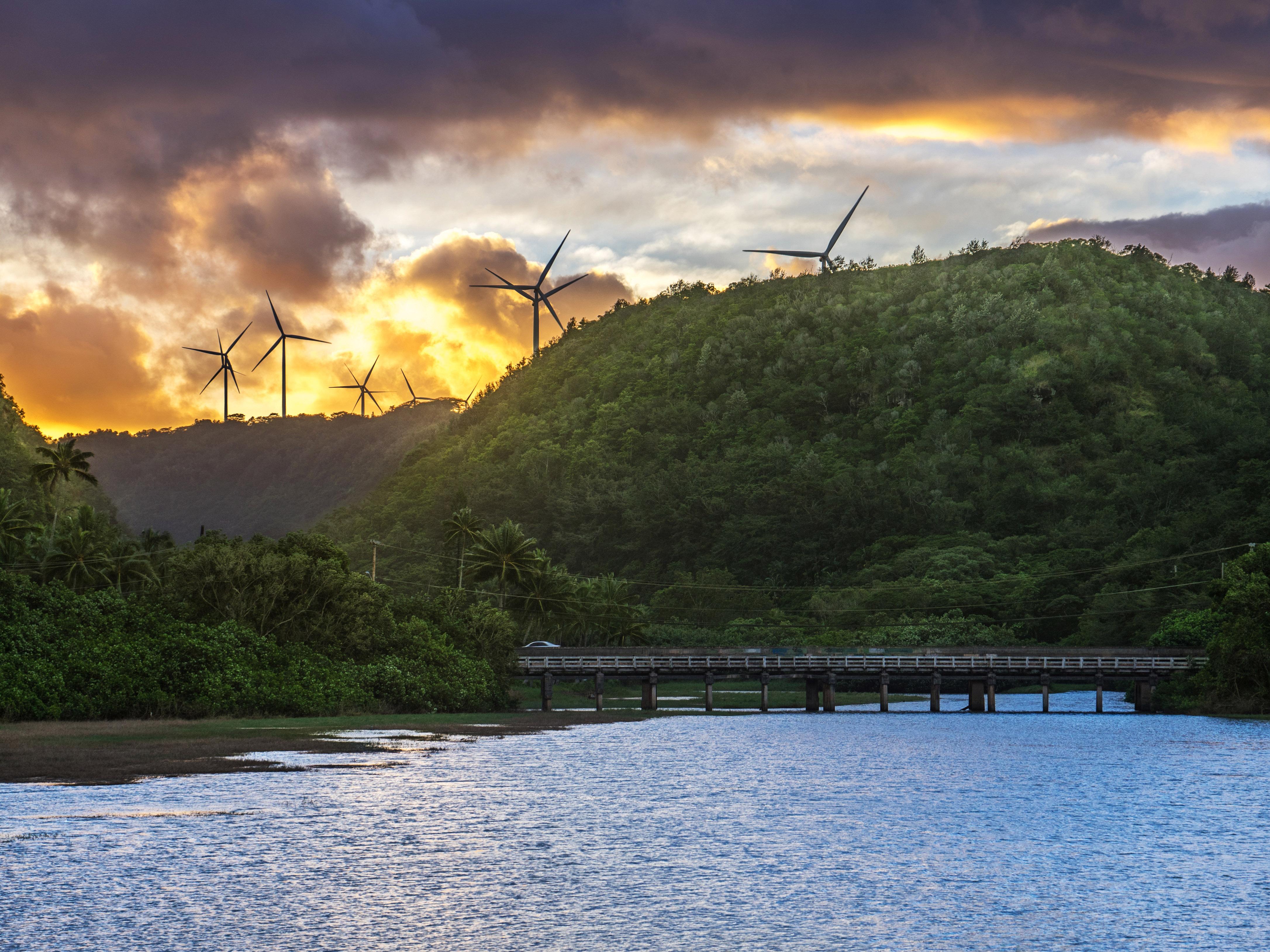 Tropical beach and forest with windmills